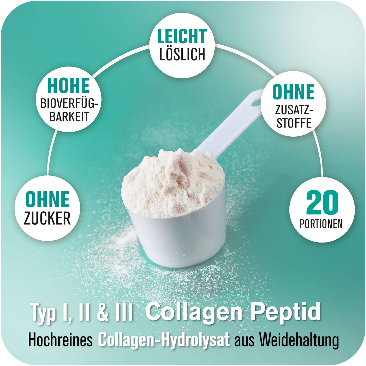 2B_Collagen_Bullets